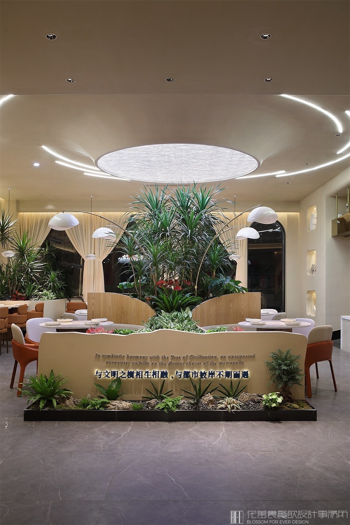 【樹岸】西餐餐飲空間設(shè)計案例圖片 12